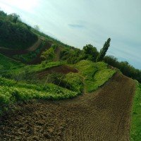 Moto club Rixheim - Image