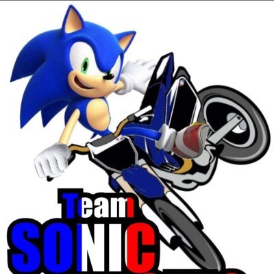 TEAM SONIC RACING
